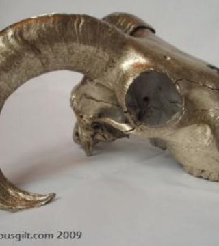 Precious Skull