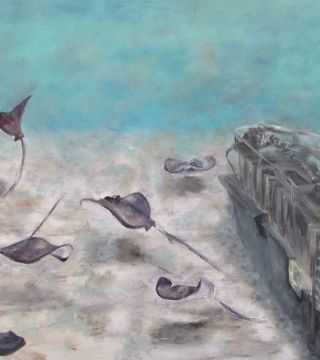 Wreck And Devilfish (collection WRECKS), 55x65, 2011