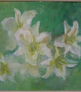 lily