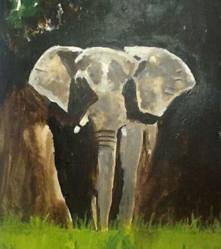 Study of an elephant
