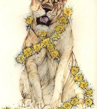Y Tywysoges Llewess [WELSH]. The Princess Lioness