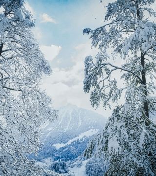 WinterImFrühling