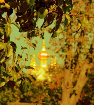 Sun Peterhof № 7284-1-1