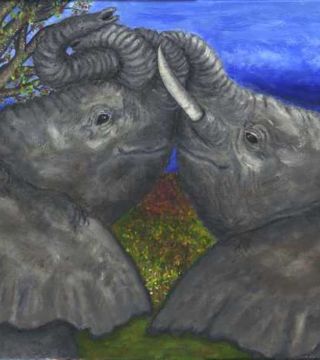 Elephant Hugs