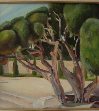 trees in Madrid